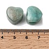 Natural Amazonite European Beads G-C269-01G-3