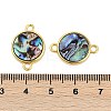 Brass Pave Natural Paua Shell Connector Charms KK-M299-01D-G-3