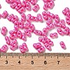 Glass Seed Beads SEED-L011-04A-02-4