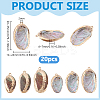20Pcs Electroplated Natural Paua Shell Pendants SSHEL-PH0001-49-2