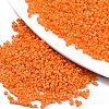 FGB 11/0 Grade A Glass Seed Beads SEED-S030-1019-1
