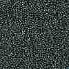 TOHO 11/0 Round Beads X-SEED-TR11-0118-2
