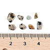 Pandahall Natural Dalmatian Jasper Chip Beads G-M055-04-3