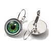Eye Glass Leverback Earrings with Brass Earring Pins EJEW-Q798-01E-2