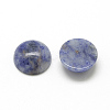 Natural Blue Spot Jasper Cabochons G-R416-10mm-45-2