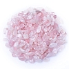 Natural Rose Quartz Tumbled Chips PW-WGA7DCE-06-1