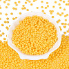 Opaque Glass Seed Beads SEED-N012-09A-04-2