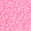 FGB Frosted Transparent Glass Seed Beads SEED-N013-02A-05-3