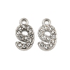 304 Stainless Steel Pendants STAS-L080-002P-09-1