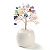 Natural Mixed Stone Chips Tree of Life Decorations DJEW-C016-02K-1
