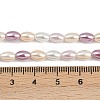 Electroplated Shell Pearl Beads Strands BSHE-H113-06C-01-4