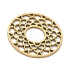 201 Stainless Steel Pendants STAS-H480-09G-2