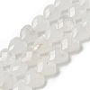 Natural Quartz Crystal Beads Strands G-P544-E14-01-2