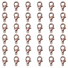 Zinc Alloy Lobster Claw Clasps FIND-FS0001-75R-1