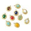 12Pcs 12 Styles Natural Gemstone Pendants STAS-CJ0002-60-8