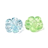 Transparent Acrylic Beads TACR-C002-01F-2