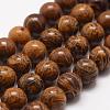 Natural Elephant Skin Jasper/Miriam Stone/Calligraphy Stone Beads Strands G-F512-6mm-1