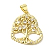 Brass Micro Pave Cubic Zirconia Pendants KK-Z042-21G-01-1