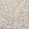 TOHO 8/0 Round Beads SEED-XTR08-0021-2