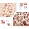 Natural Mixed Style Cowrie Cowry Seashells Oval Spiral Shells with Holes for Jewelry Making BSHE-PH0003-04-4
