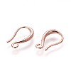 Brass Earring Hooks KK-L177-34RG-1
