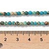 Dyed Natural Regalite/Imperial Jasper/Sea Sediment Jasper Beads Strands G-B124-C05-02-2