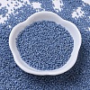 MIYUKI Delica Beads SEED-J020-DB0266-2