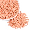 Opaque Glass Seed Beads SEED-N012-09A-10-1