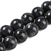 Natural Larvikite Beads Strands G-G118-B02-01-1