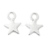 Alloy Charms TIBEB-S039-051S-RS-3