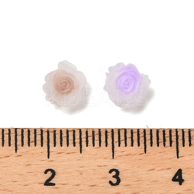 Luminous Resin Decoden Cabochons RESI-K036-06L-1