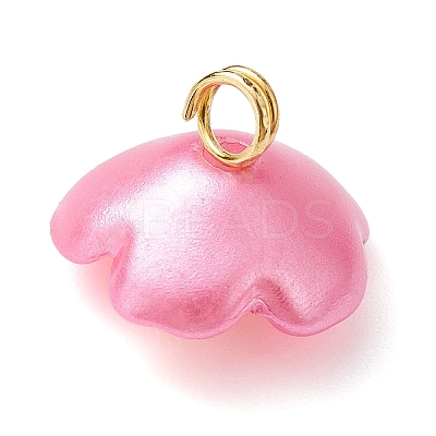 Opaque Resin Pendants PALLOY-JF02214-1