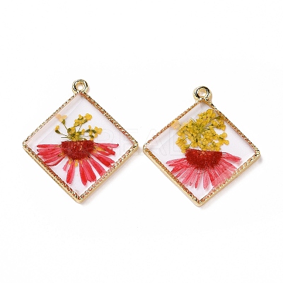 Transparent Clear Epoxy Resin Pendants RESI-L036-11KCG-02-1