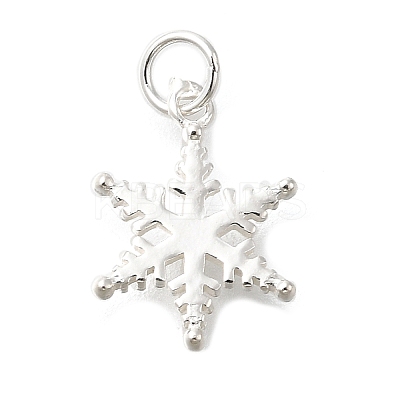 925 Sterling Silver Pendants STER-Q003-01B-S-1