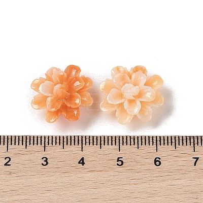 Synthetic Shell Dyed Beads SHEL-C006-01A-1