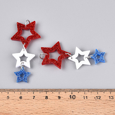 Acrylic Big Pendants OACR-N144-04-1