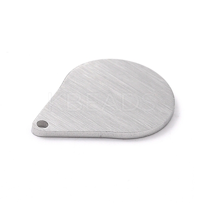 Tarnish Resistant 304 Stainless Steel Pendants STAS-F271-05B-P-1