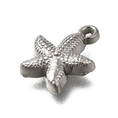 304 Stainless Steel Charms STAS-C119-24D-P-1