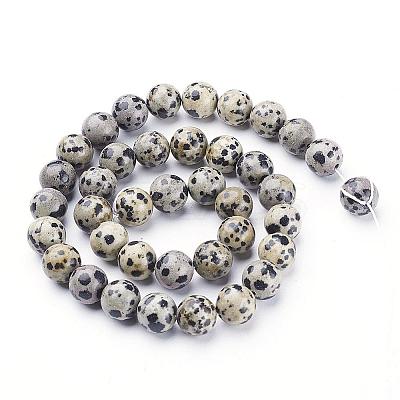 Natural Dalmatian Jasper Beads Strands GSR10mmC004-1
