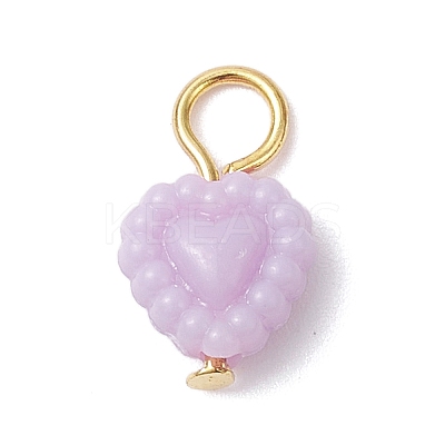 Opaque Acrylic Pendants PALLOY-JF04351-02-1