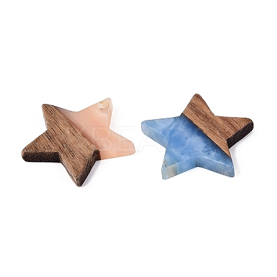 Opaque & Transparent Resin & Walnut Wood Pendants RESI-N053-31-1