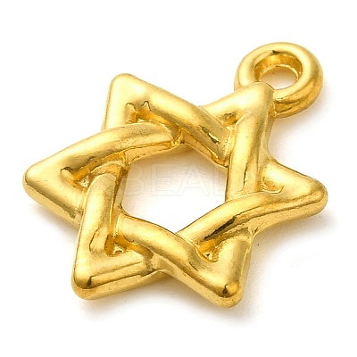 Ion Plating(IP) 304 Stainless Steel Pendants STAS-M070-14G-1