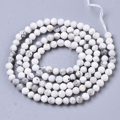 Natural Howlite Beads Strands G-R460-026-1