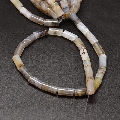 Column Natural Dendritic Agate Bead Strands G-M257-16x8mm-21-1