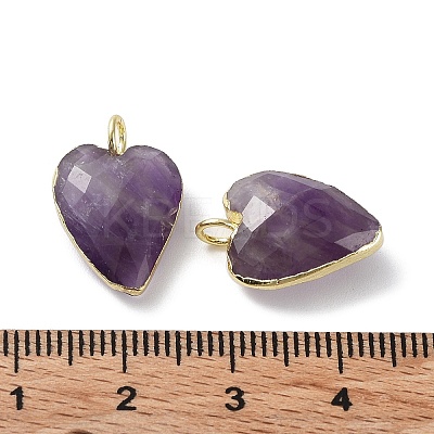 Natural Amethyst Pendants G-G012-11G-08-1