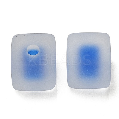 Frosted Acrylic European Beads OACR-G012-14E-1