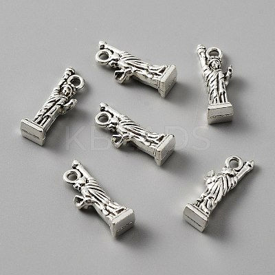 Tibetan Style Alloy Charm FIND-CJC0006-22AS-1