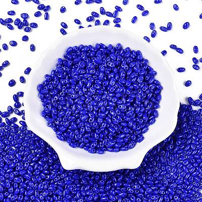Baking Paint Glass Seed Beads SEED-T006-03-01-1