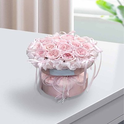 1Roll Flat Rainbow Color Organza Ribbon OCOR-LP0002-15-1
