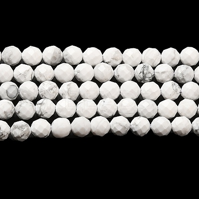Natural Howlite Beads Strands G-E608-A01-C-1